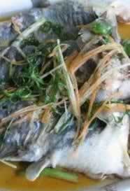 ��������_�������������_����������ô��������