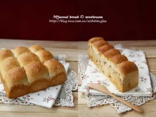 ���С��˾�����С�Ͱ�����������Ͳ��ף�