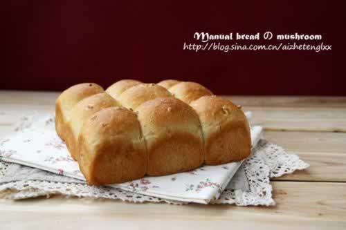 ���С��˾�����С�Ͱ�����������Ͳ��ף�