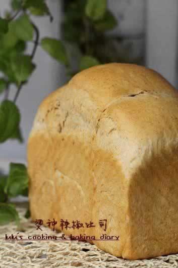 ����������˾����������Ͳ��ף�