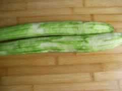 ˿�ϳ�ë�����������ز˲��ף�