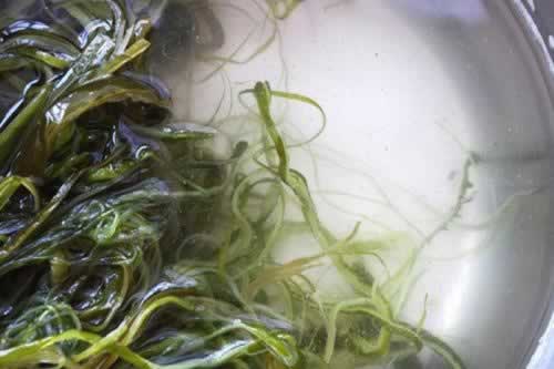 �������������������ش�����ף�