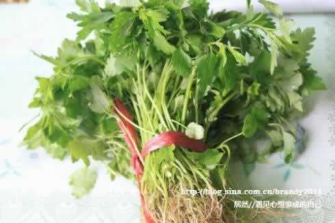 ��˿��ĸ������������Ů����Ʒ���ף�