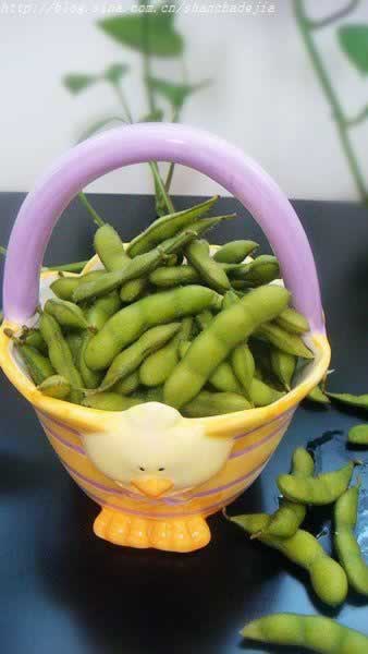 ��ë������������ʳ��