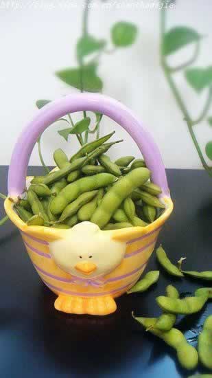 ��ë������������ʳ��