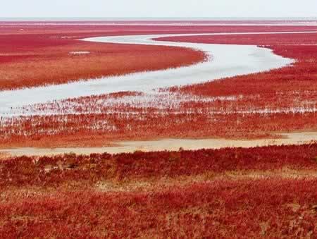 �������˵�������ɽ���ƺӿ�С�Բ��ף�