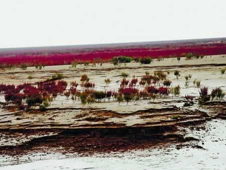 �������˵�������ɽ���ƺӿ�С�Բ��ף�