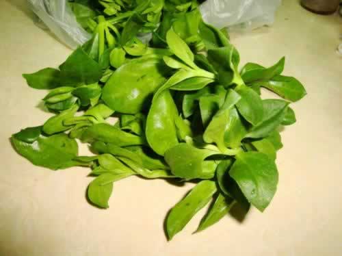 ������ţ�������������ش�����ף�