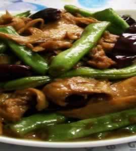 �������÷��_�������÷��������_�������÷����ô��������