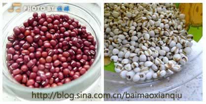 �춹޲�����������������Ŷ������ף�