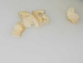 ̫�Ӳ�ţ�������׵��������＾Ů������������տ�θ���Ȳ��ף�