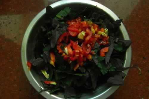 ���ճ����ӵ��������ز˲��ף�