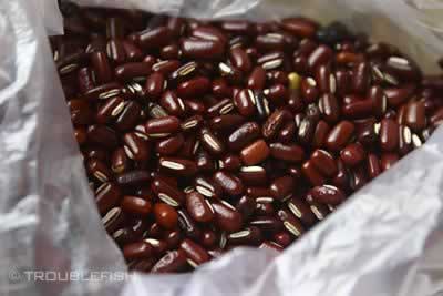 ����Ú��С���Һ�֥����������㶫���������ˮ���ף�