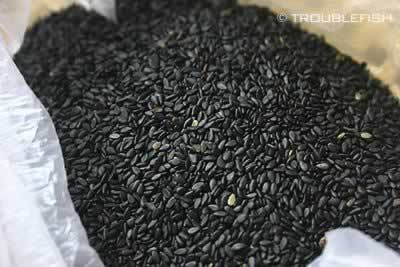 ����Ú��С���Һ�֥����������㶫���������ˮ���ף�