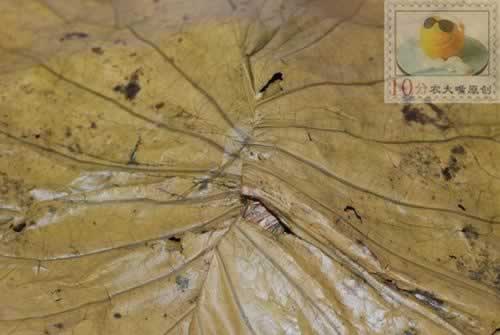 ����Ŵ�׼��������������˲��ף�