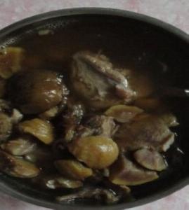 ��������������_�������������������_����������������ô��������