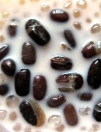 �춹����¶������