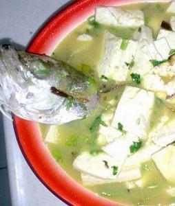 ����������_���������������_������������ô��������