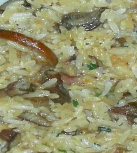 �����h��_�����h��������_�����h����ô��������