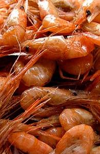 ���С��Ϻ_���С��Ϻ������_���С��Ϻ��ô��������