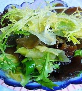 ���˰��ľ��_���˰��ľ��������_���˰��ľ����ô��������