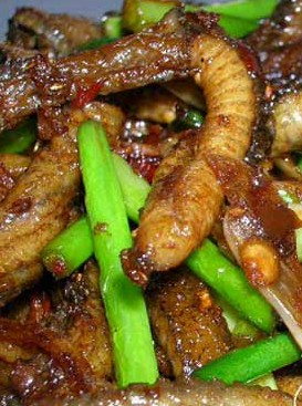 �������������