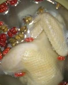 石斛枸子淮山鸡汤的做法 石斛枸子淮山鸡汤的做法