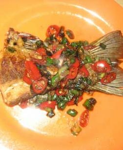 ���ջ�ˮ������