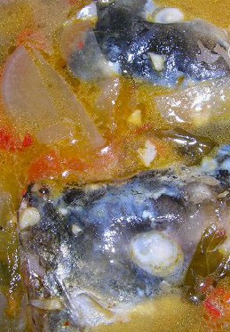 �ݲ���ͷ_�ݲ���ͷ������_�ݲ���ͷ��ô��������