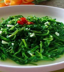 ͨ�Ĳ�_ͨ�Ĳ˵�����_ͨ�Ĳ���ô��������