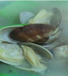 ��˻�����������