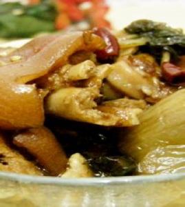 ���������_��������������_�����������ô��������