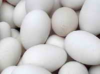 ��ͼ���쵰