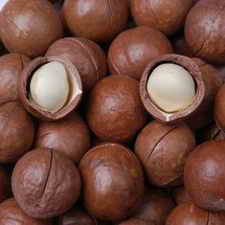 �����Ĺ�