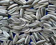 ��ͼ������