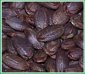 ��ͼ������