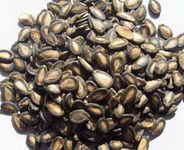 ��ͼ������