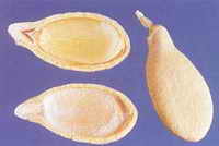 ��ͼ������