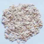 ��ͼ������