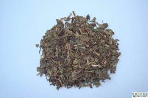 ��ͼ������ҩ��