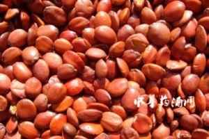 ��ͼ��������