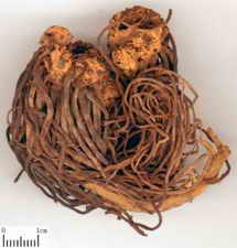 ��ͼ������