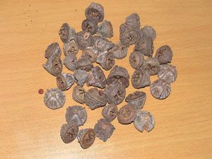 ��ͼ��һ����