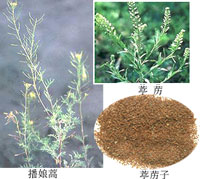 ��ͼ��������