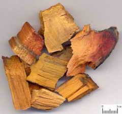 ��ͼ����ľҩ��