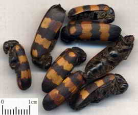 ��ͼ����