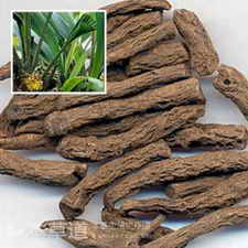 ��ͼ����é