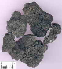 ��ͼ��Ѫ��̿