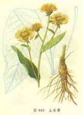 ��ͼ����ľ��