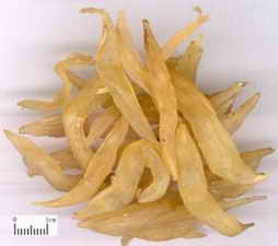 ��ͼ���춬